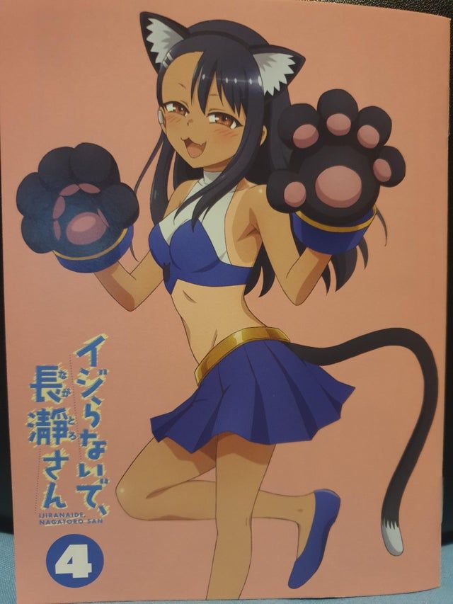 Read Don't Toy With Me, Miss Nagatoro EN Manga Online
