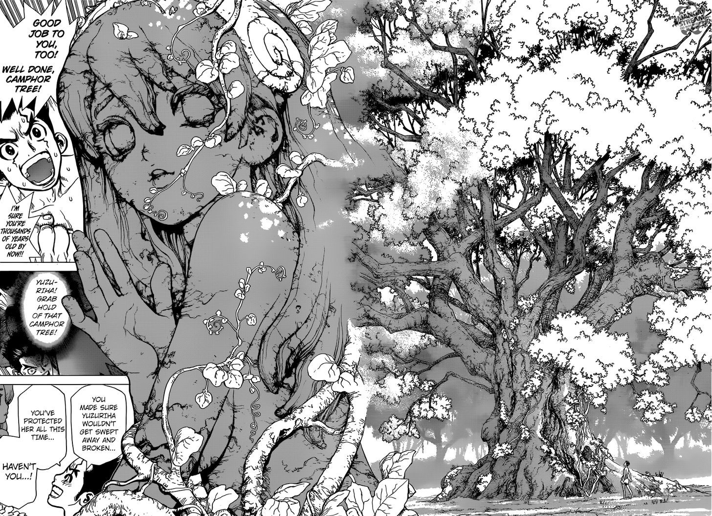 Read Dr. STONE EN Manga Online