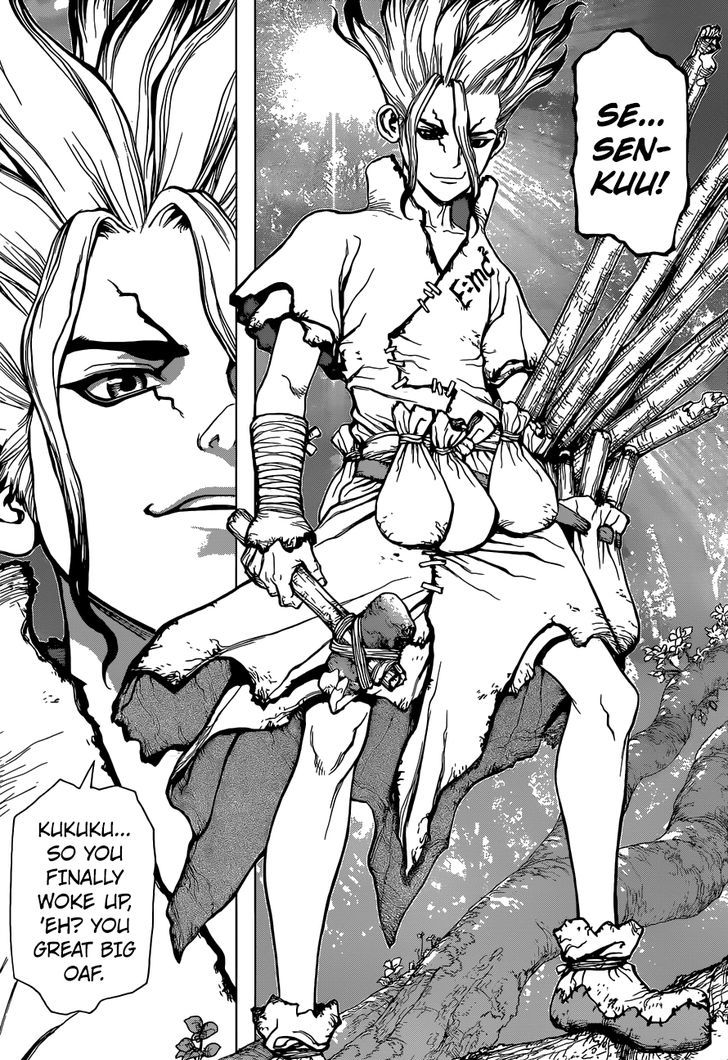 Read Dr. STONE EN Manga Online