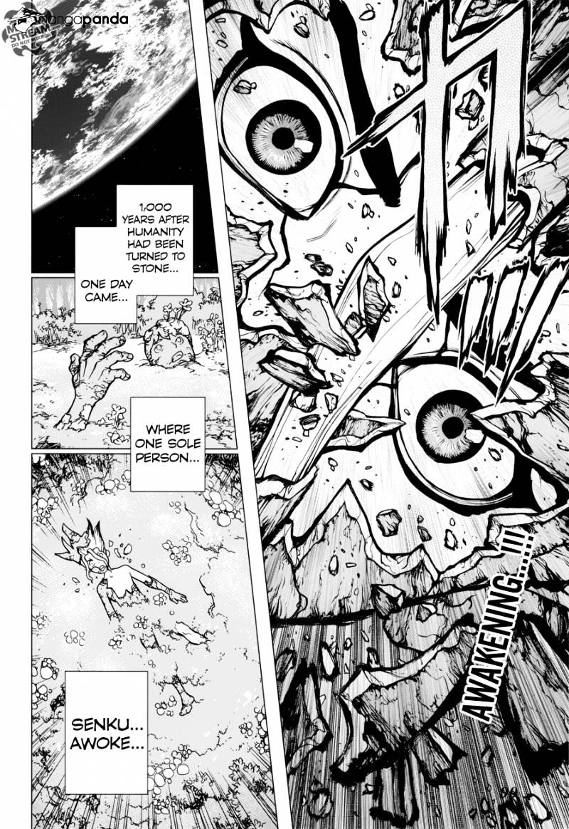 Read Dr. STONE EN Manga Online