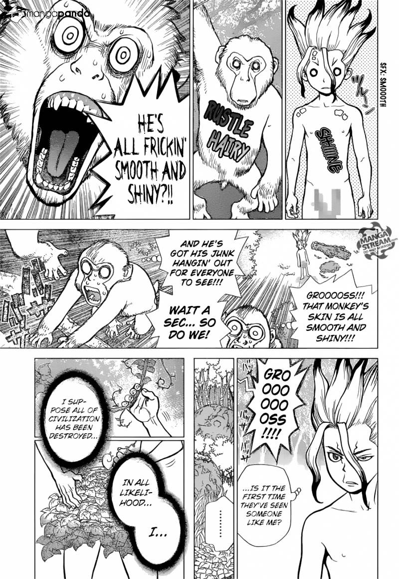 Read Dr. STONE EN Manga Online