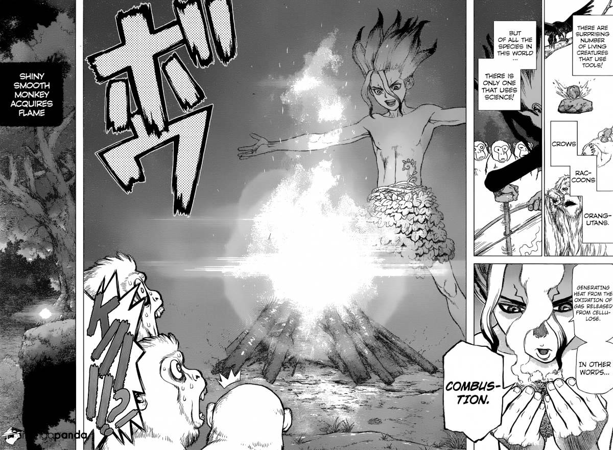 Read Dr. STONE EN Manga Online