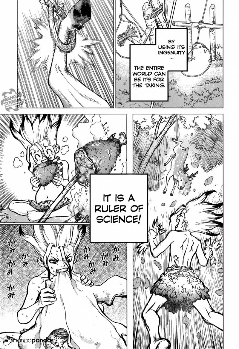 Read Dr. STONE EN Manga Online