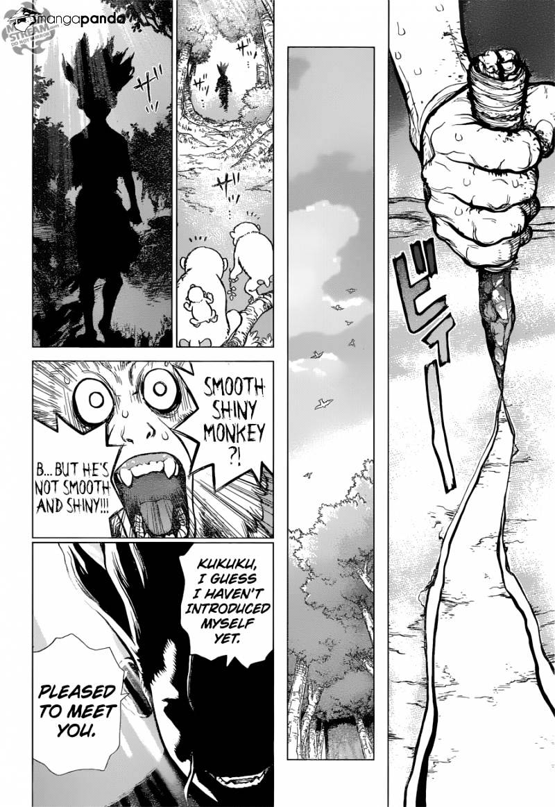 Read Dr. STONE EN Manga Online