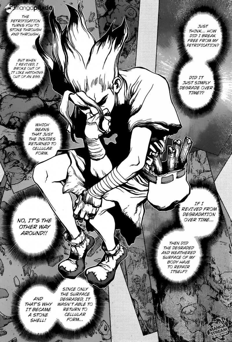 Read Dr. STONE EN Manga Online