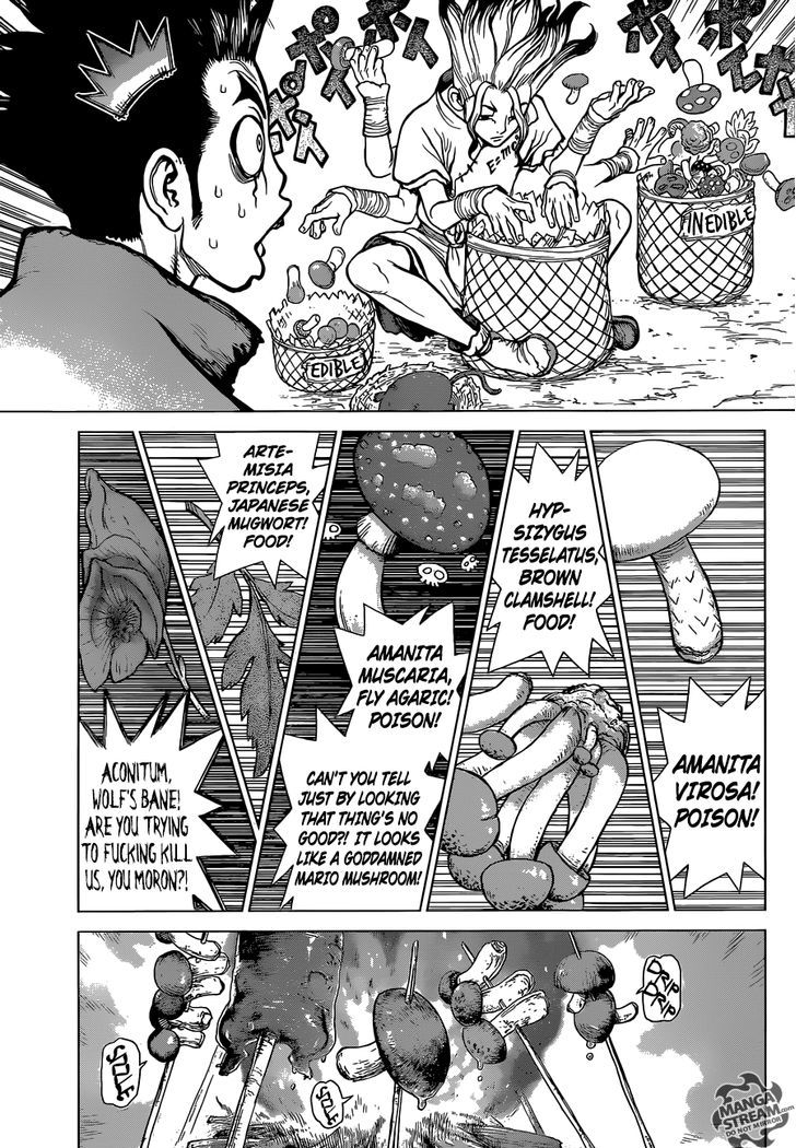 Read Dr. STONE EN Manga Online