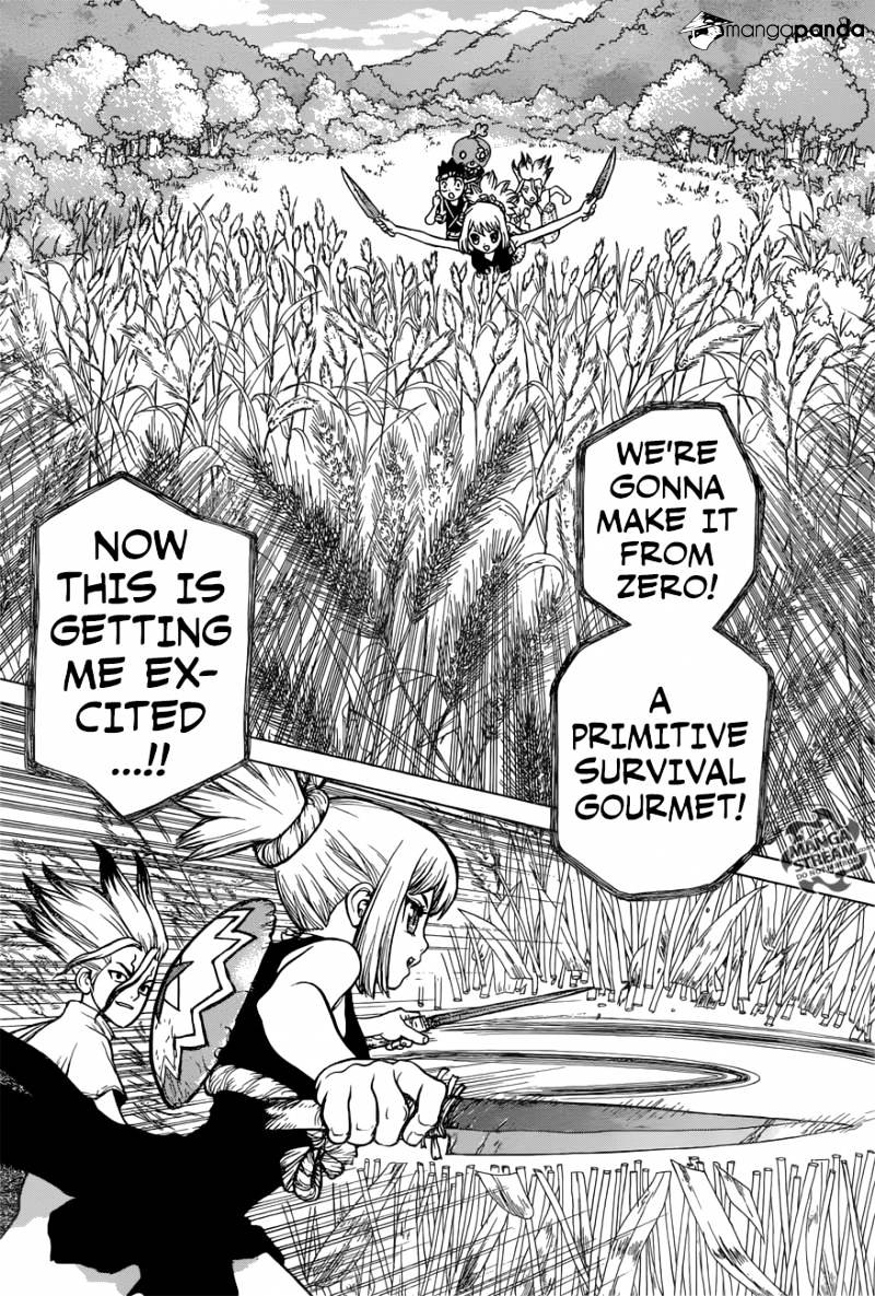 Read Dr. STONE EN Manga Online