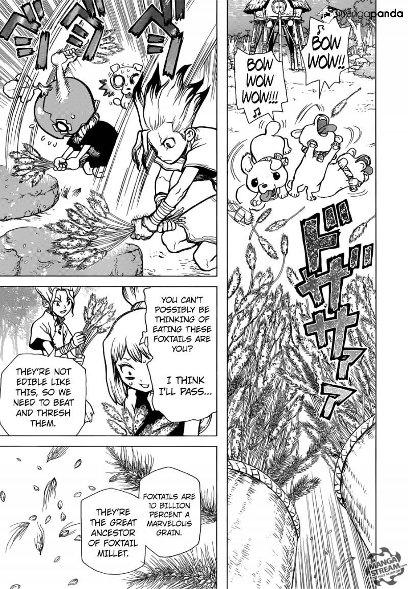 Read Dr. STONE EN Manga Online
