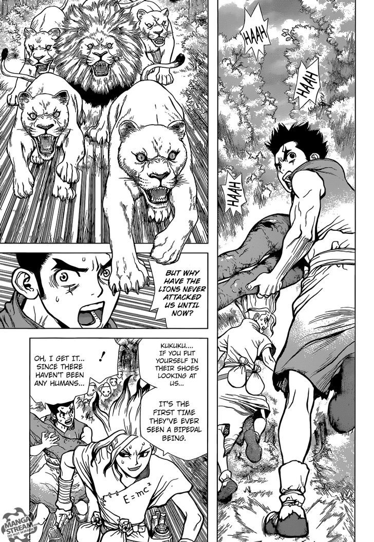 Read Dr. STONE EN Manga Online