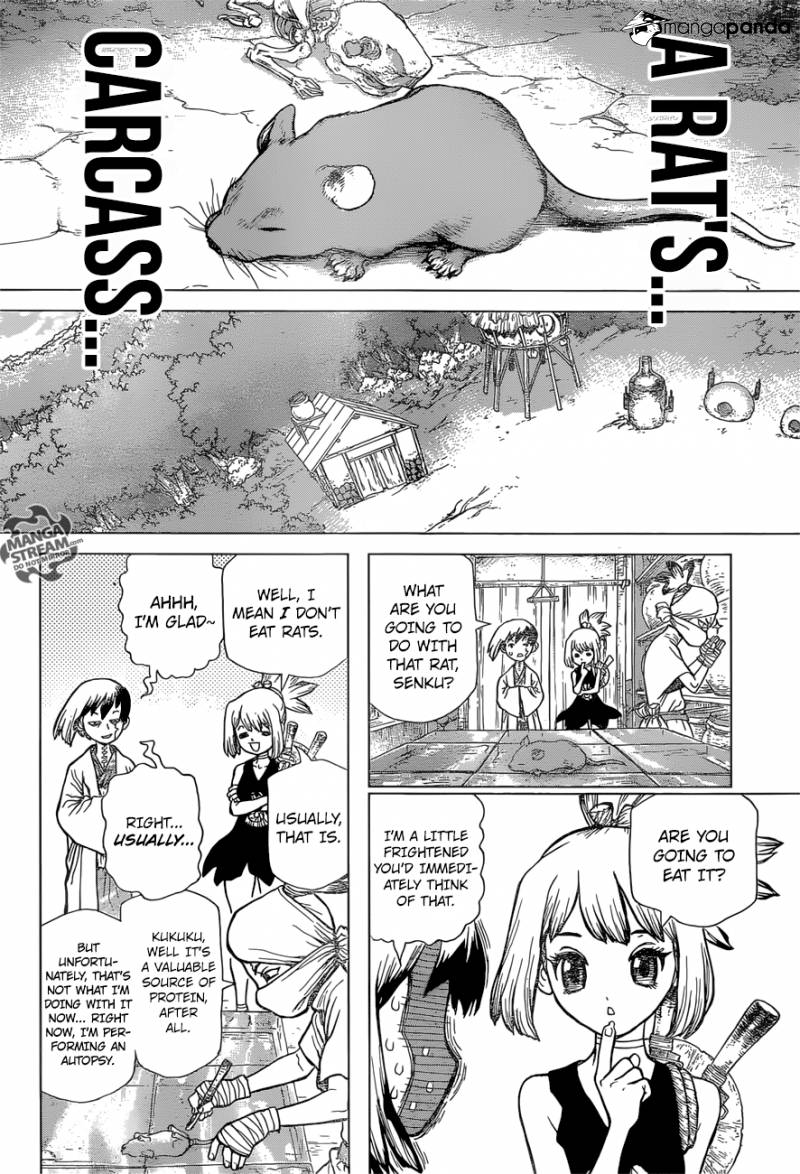 Read Dr. STONE EN Manga Online