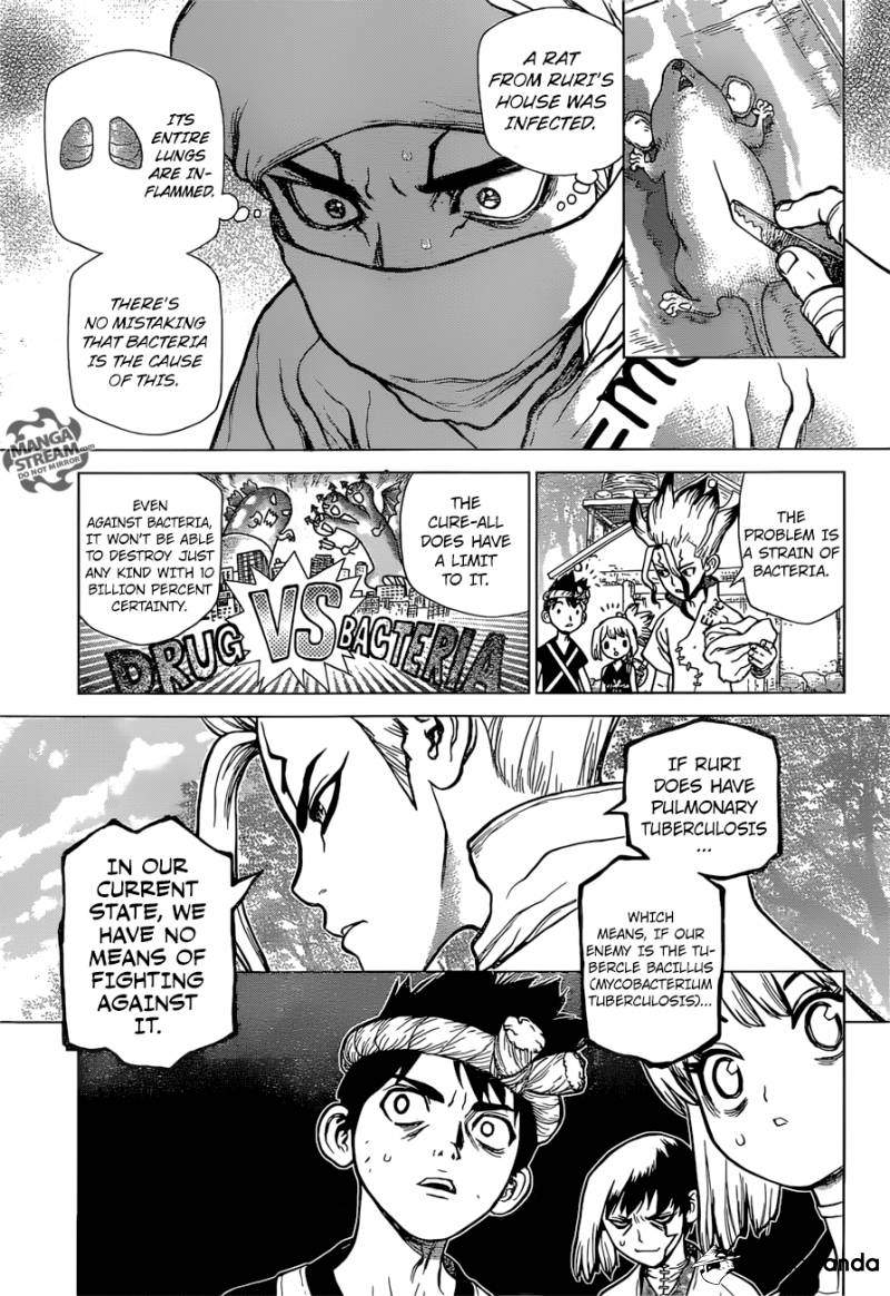 Read Dr. STONE EN Manga Online