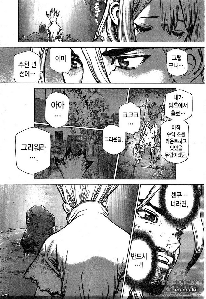 Read Dr. STONE EN Manga Online