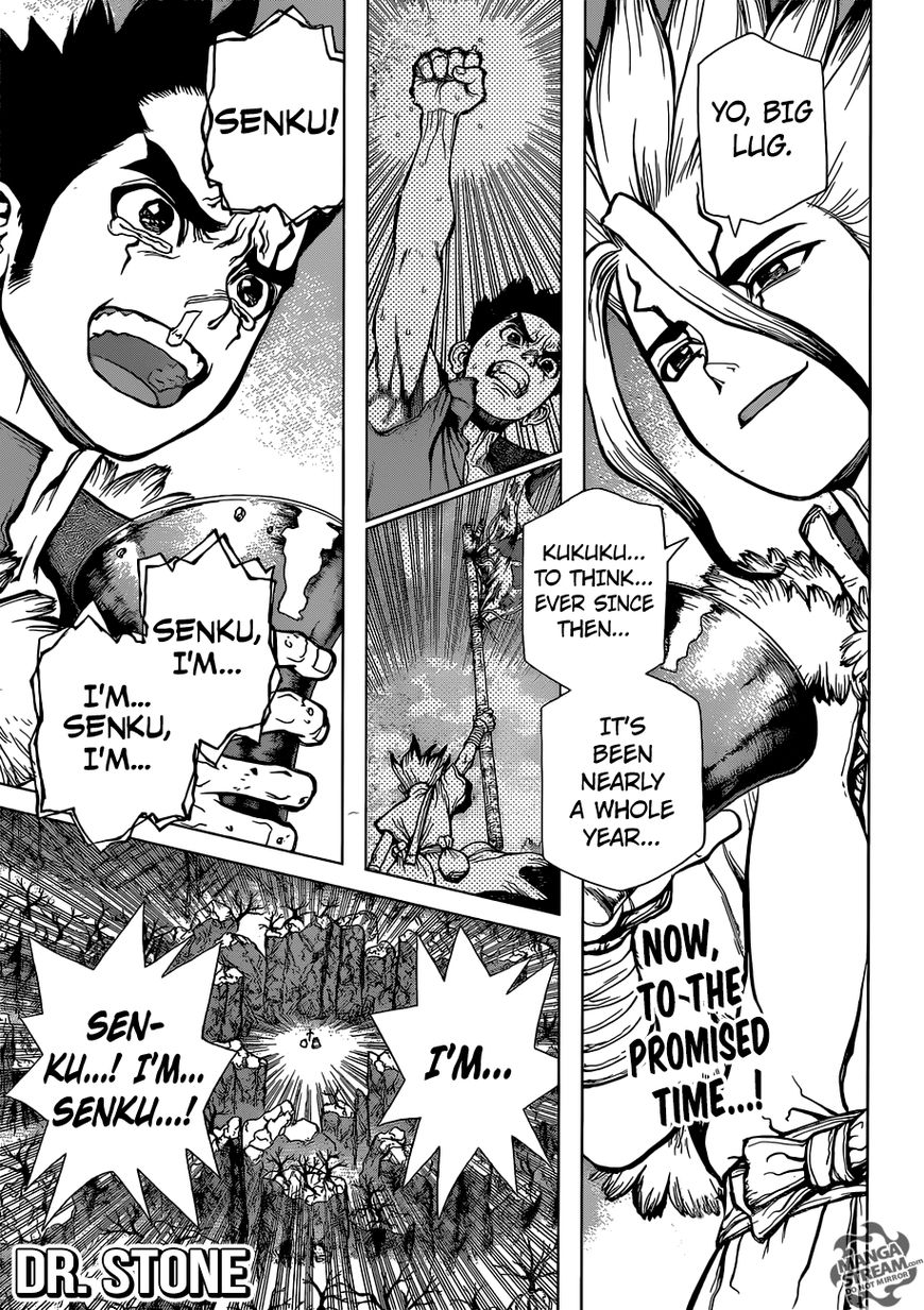 Read Dr. STONE EN Manga Online