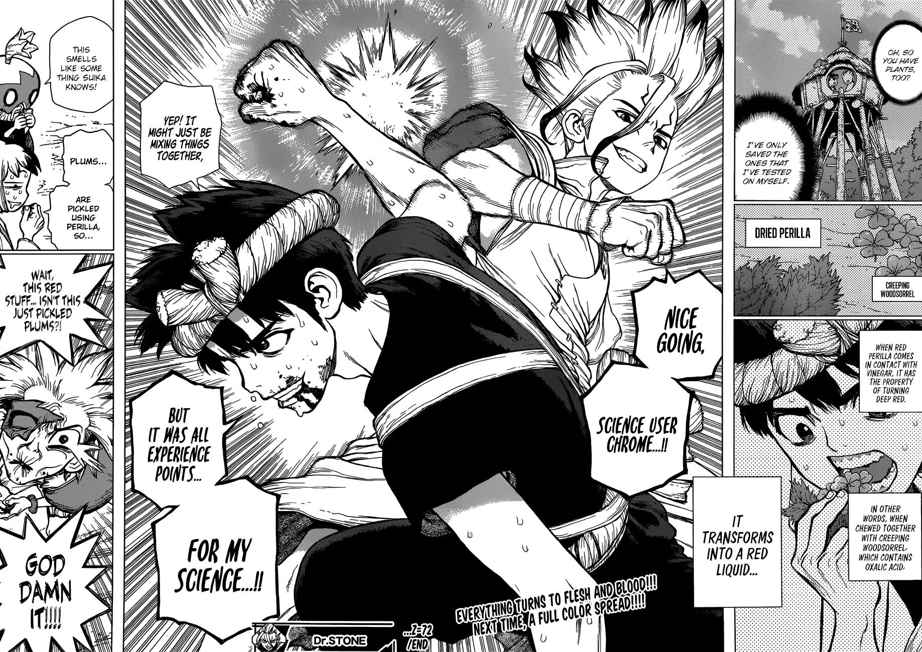Read Dr. STONE EN Manga Online