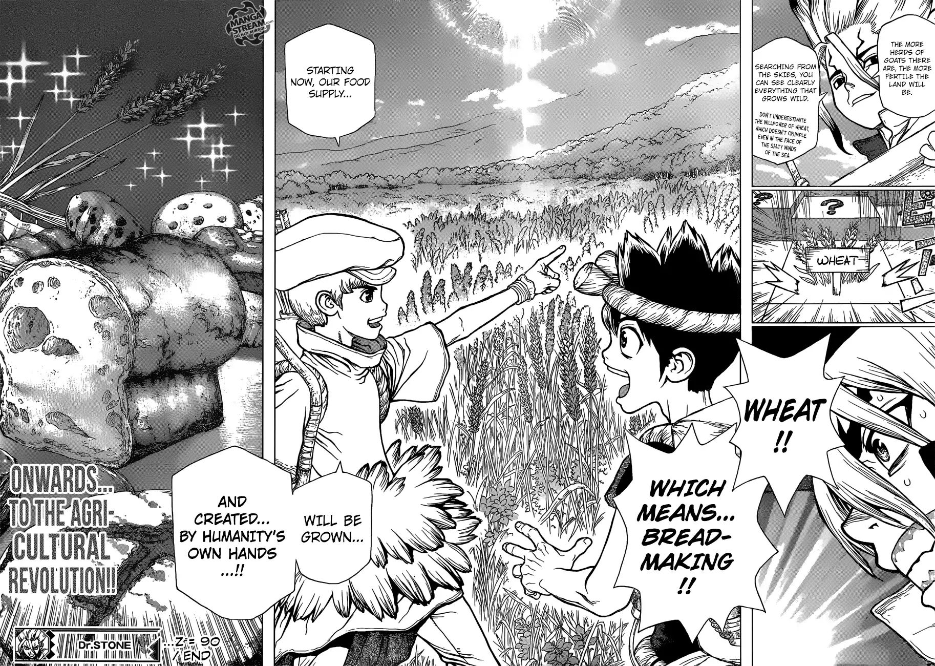 Read Dr. STONE EN Manga Online