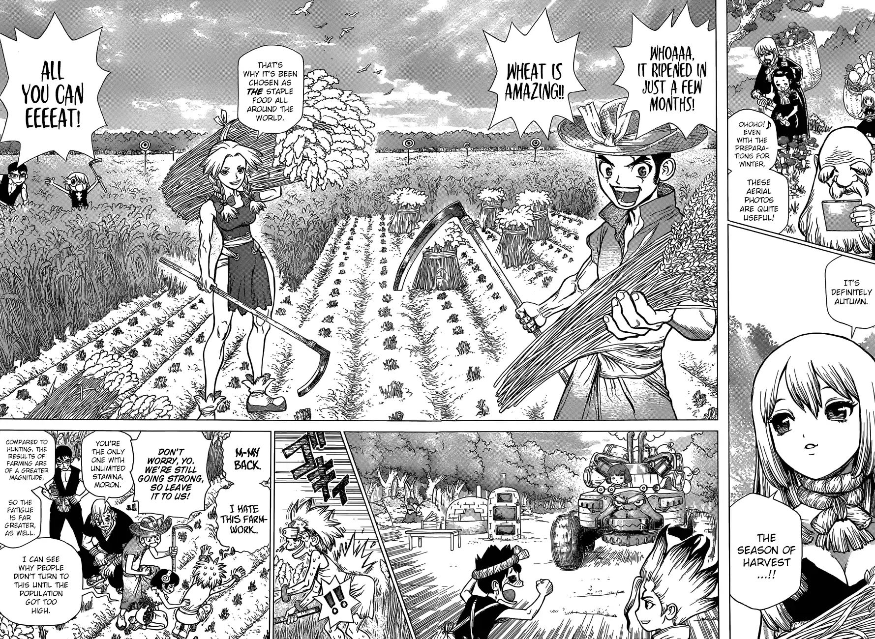 Read Dr. STONE EN Manga Online