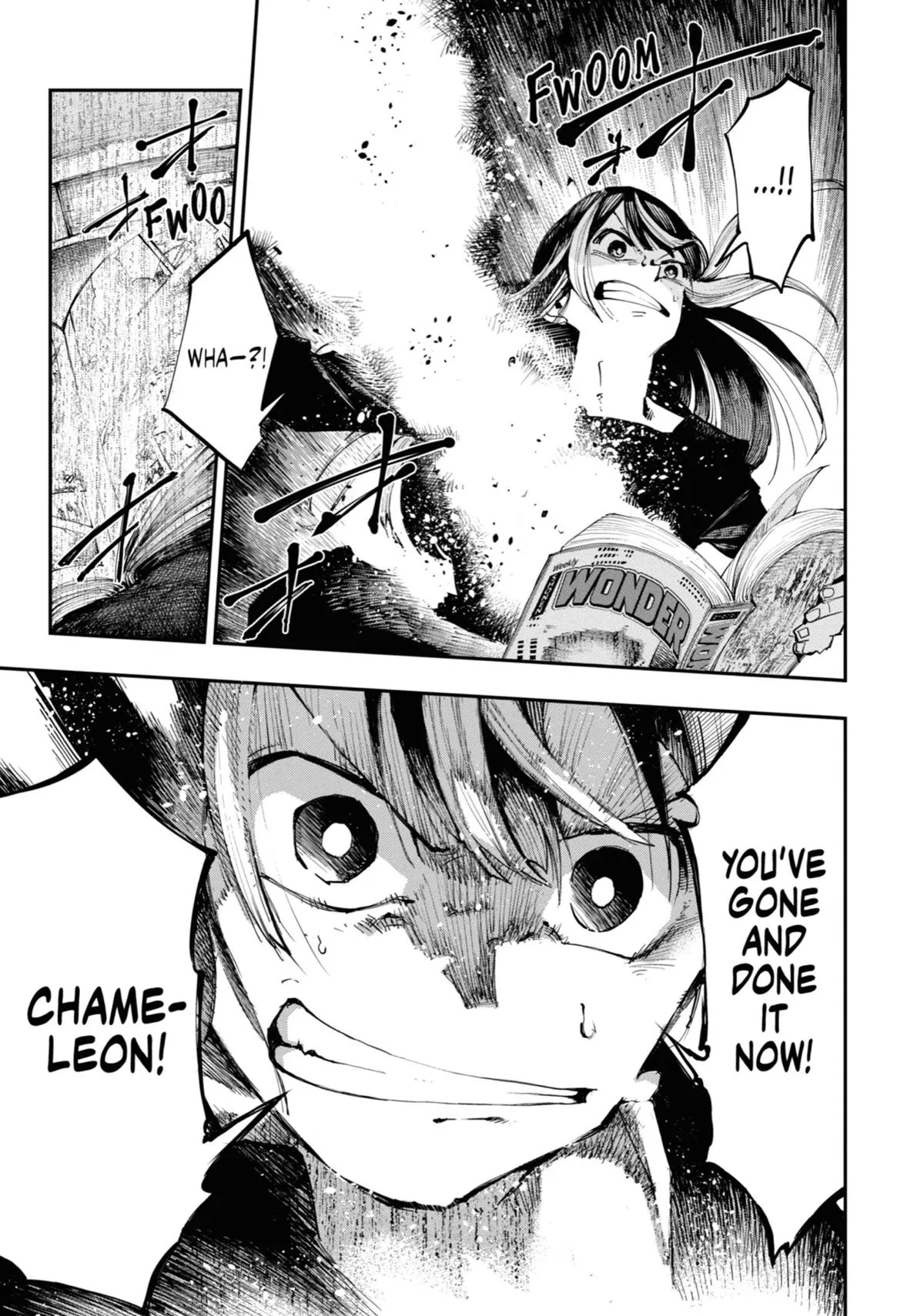 Read Dragon and Chameleon EN Manga Online