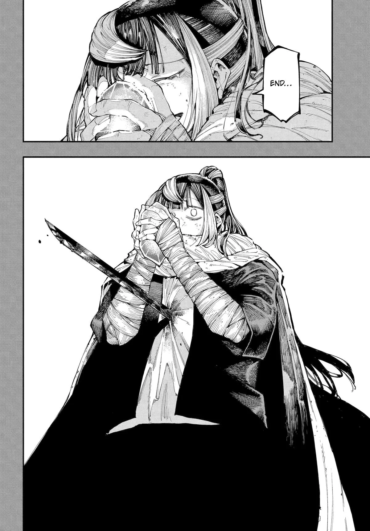 Read Dragon and Chameleon EN Manga Online