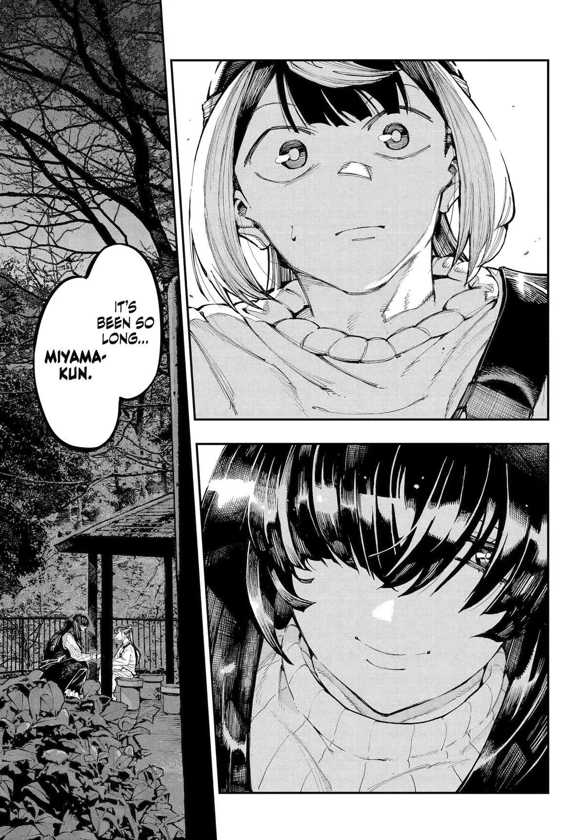 Read Dragon and Chameleon EN Manga Online