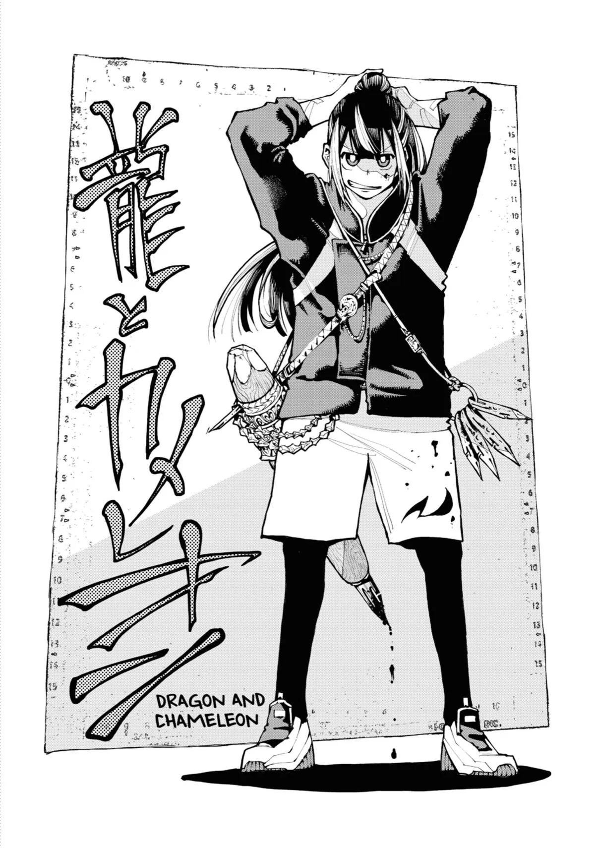 Read Dragon and Chameleon EN Manga Online