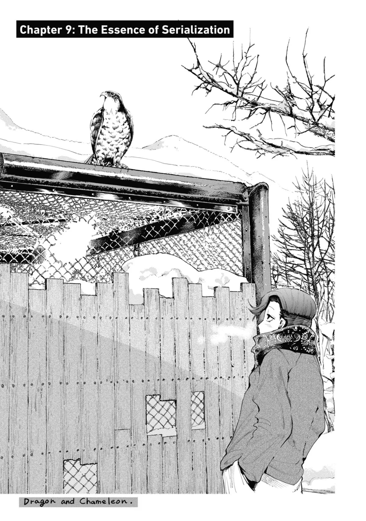 Read Dragon and Chameleon EN Manga Online