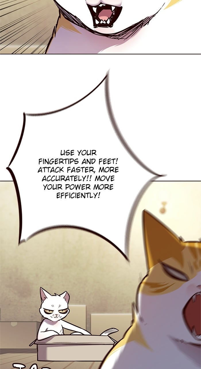 Read Eleceed EN Manga Online