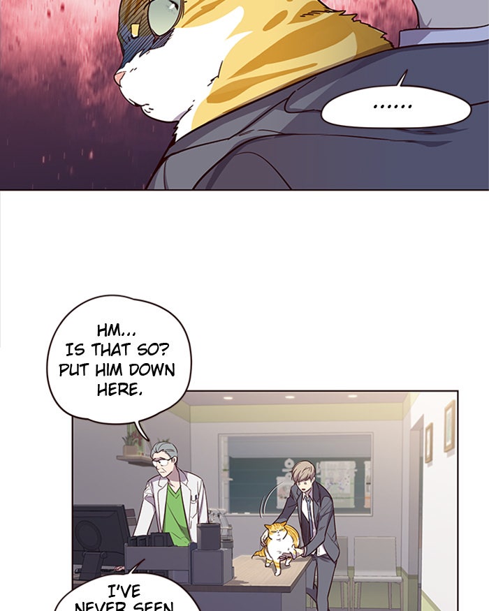 Read Eleceed EN Manga Online