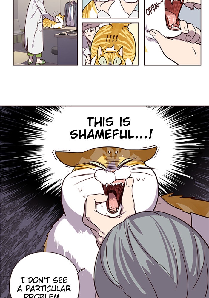 Read Eleceed EN Manga Online