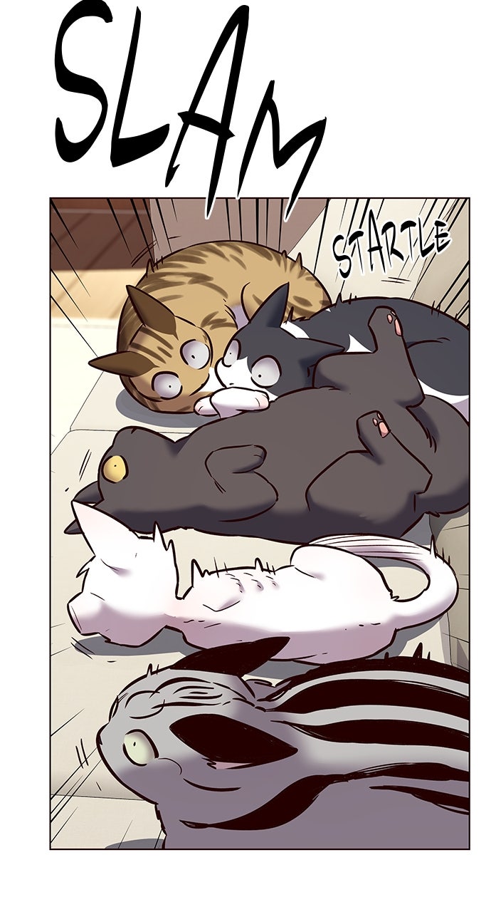 Read Eleceed EN Manga Online