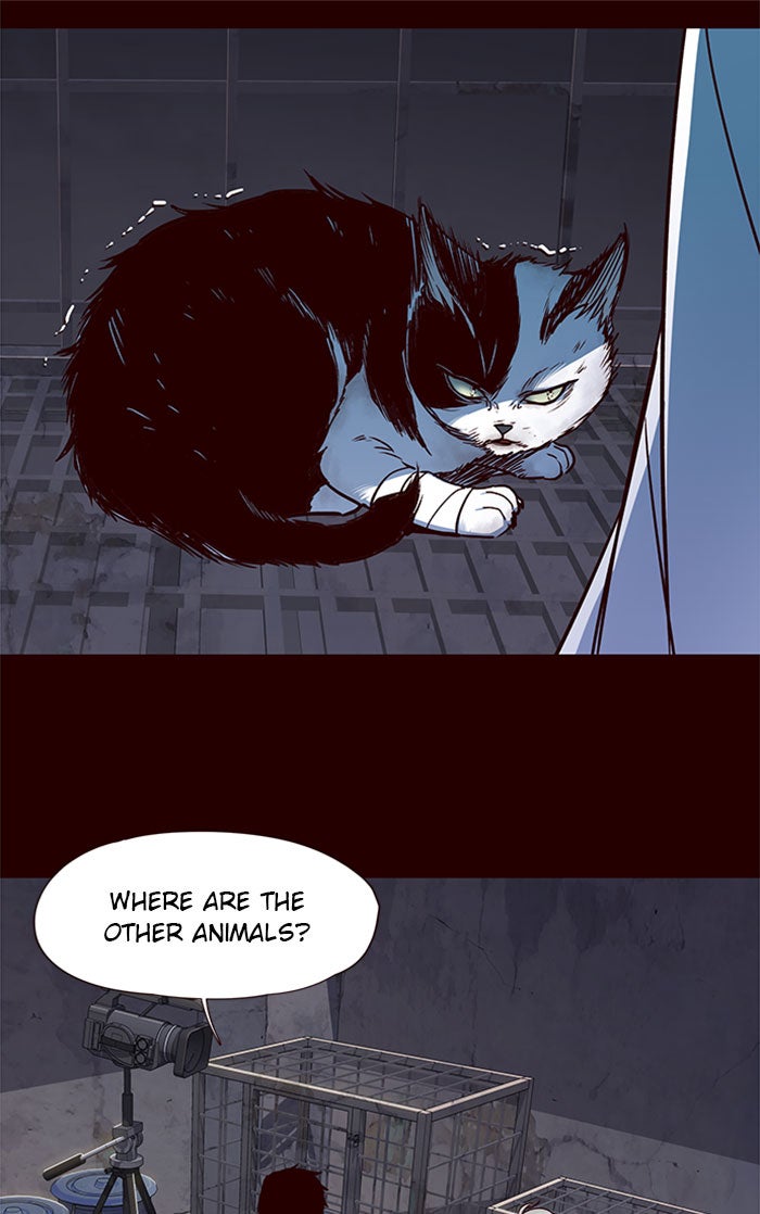 Read Eleceed EN Manga Online