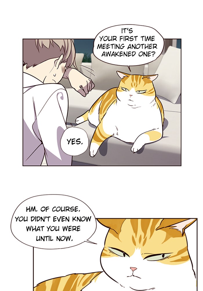 Read Eleceed EN Manga Online