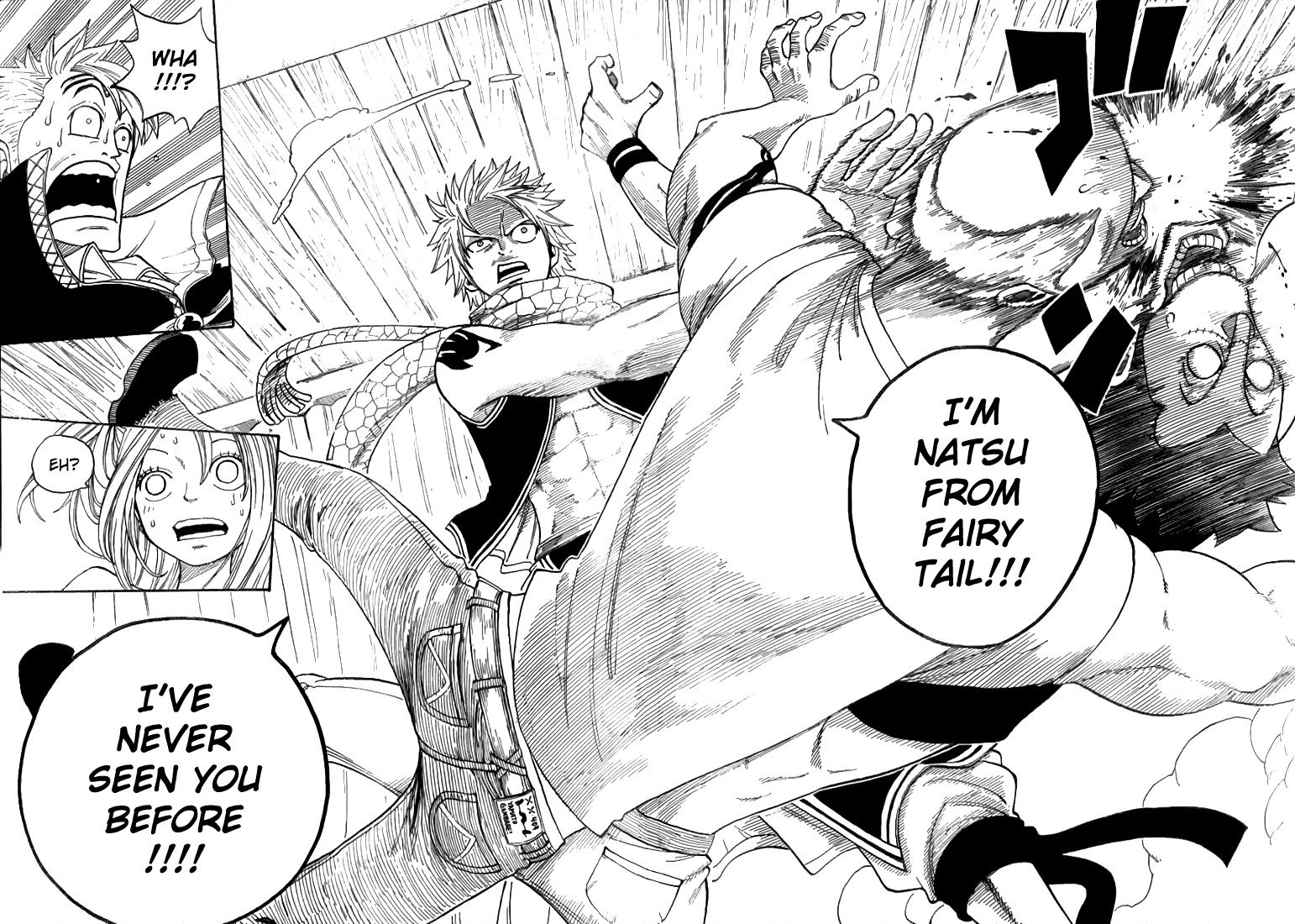 Read Fairy Tail EN Manga Online