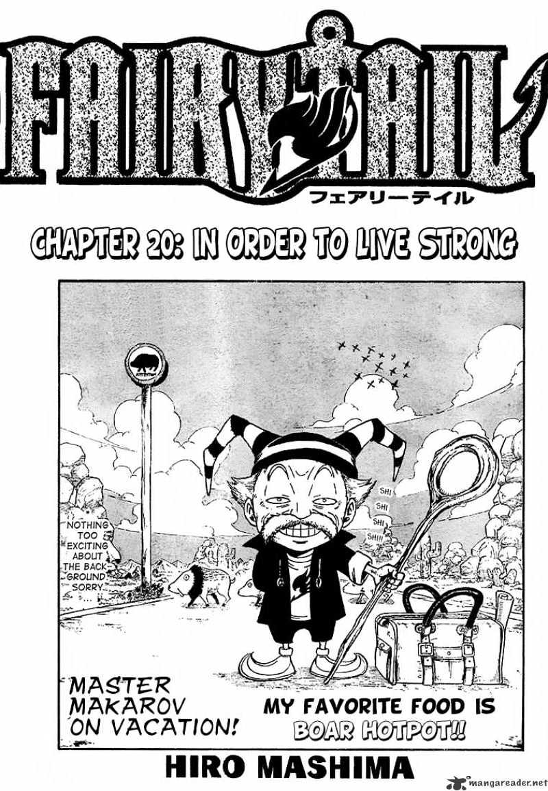 Read Fairy Tail EN Manga Online