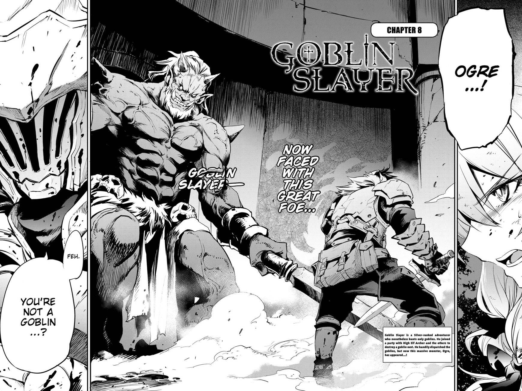 Read Goblin Slayer EN Manga Online