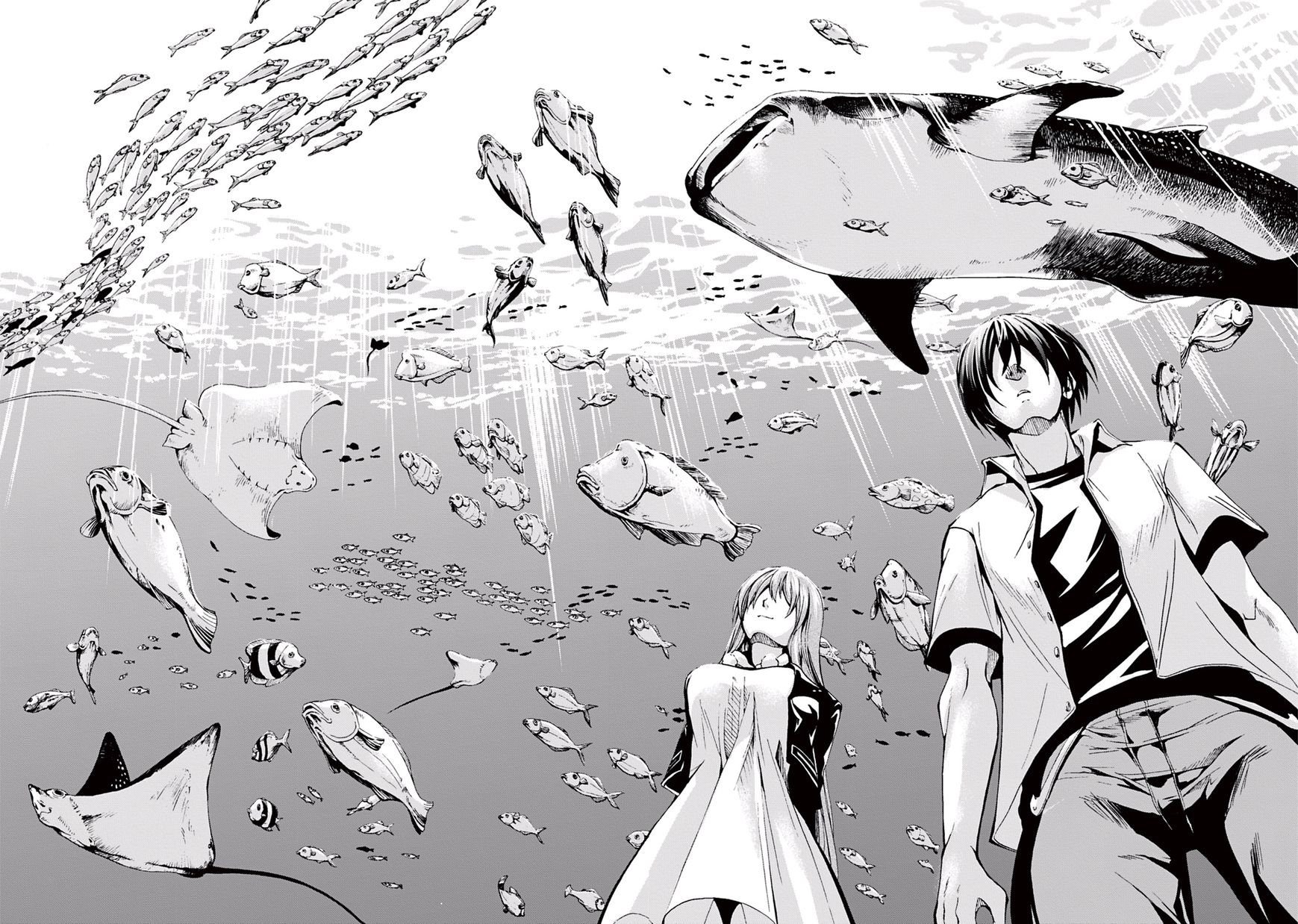 Read Grand Blue EN Manga Online