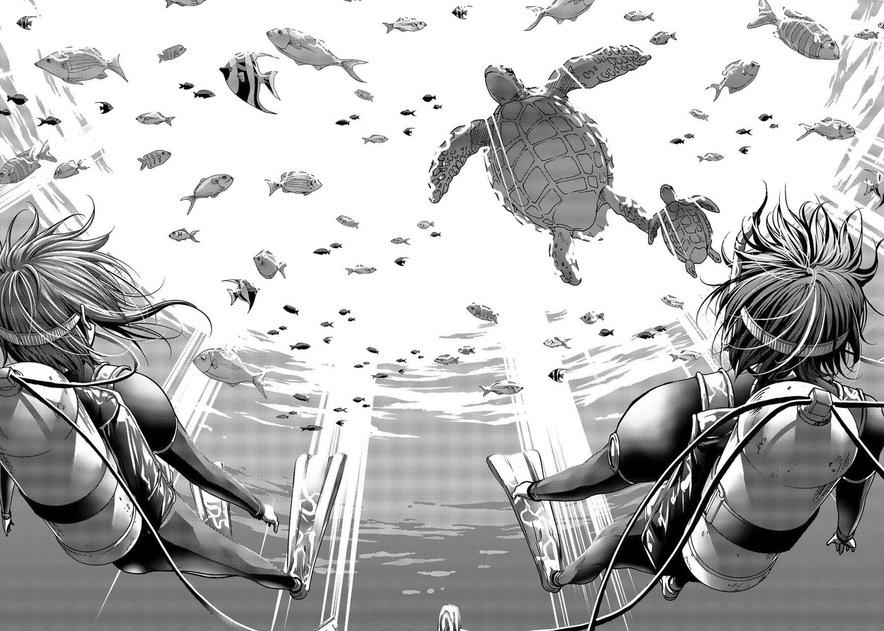 Read Grand Blue EN Manga Online