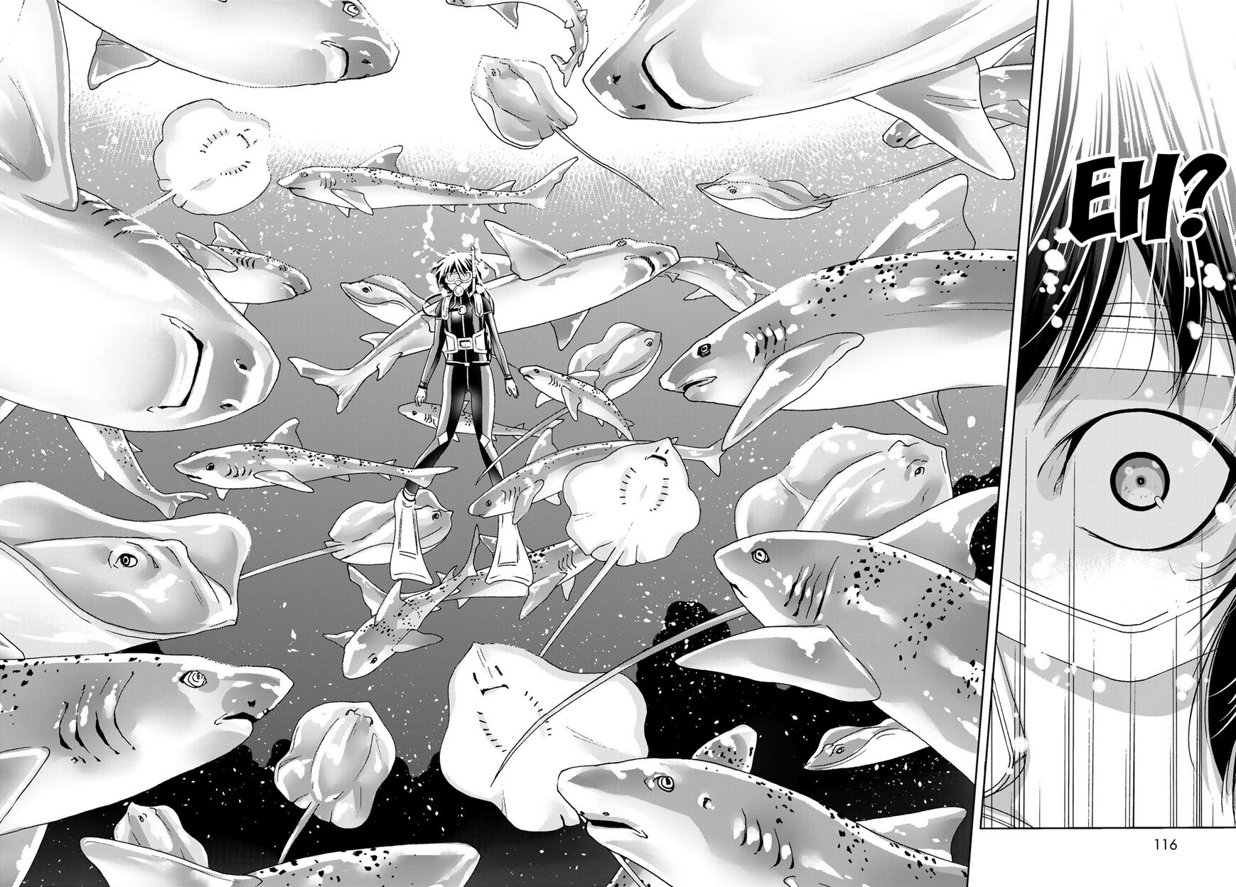Read Grand Blue EN Manga Online