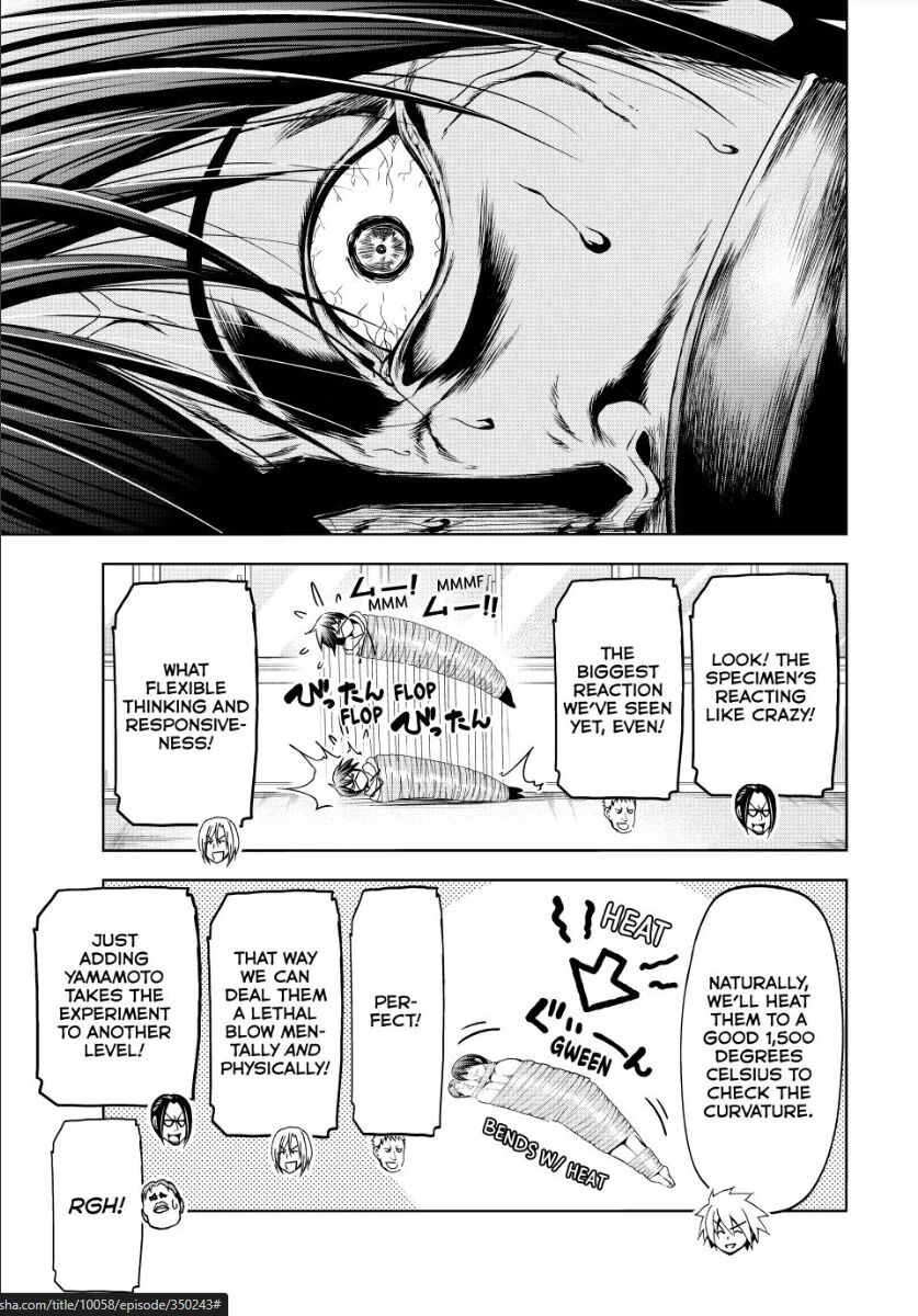 Read Grand Blue EN Manga Online