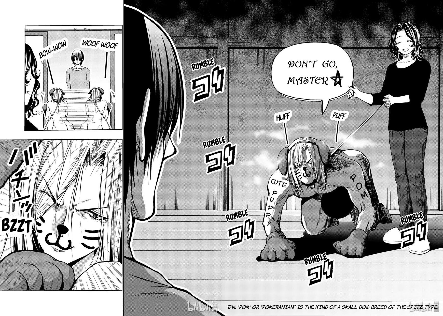 Read Grand Blue EN Manga Online
