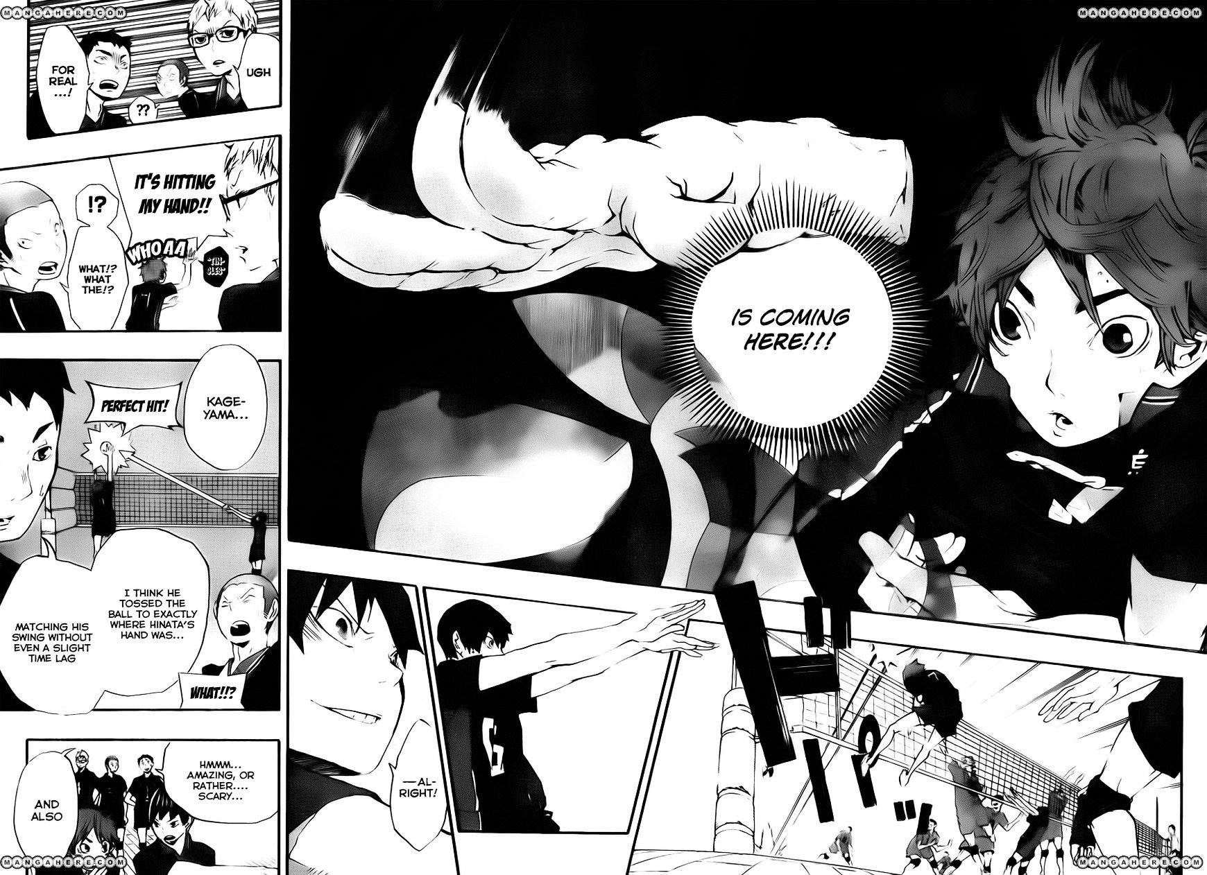 Read Haikyuu!! EN Manga Online