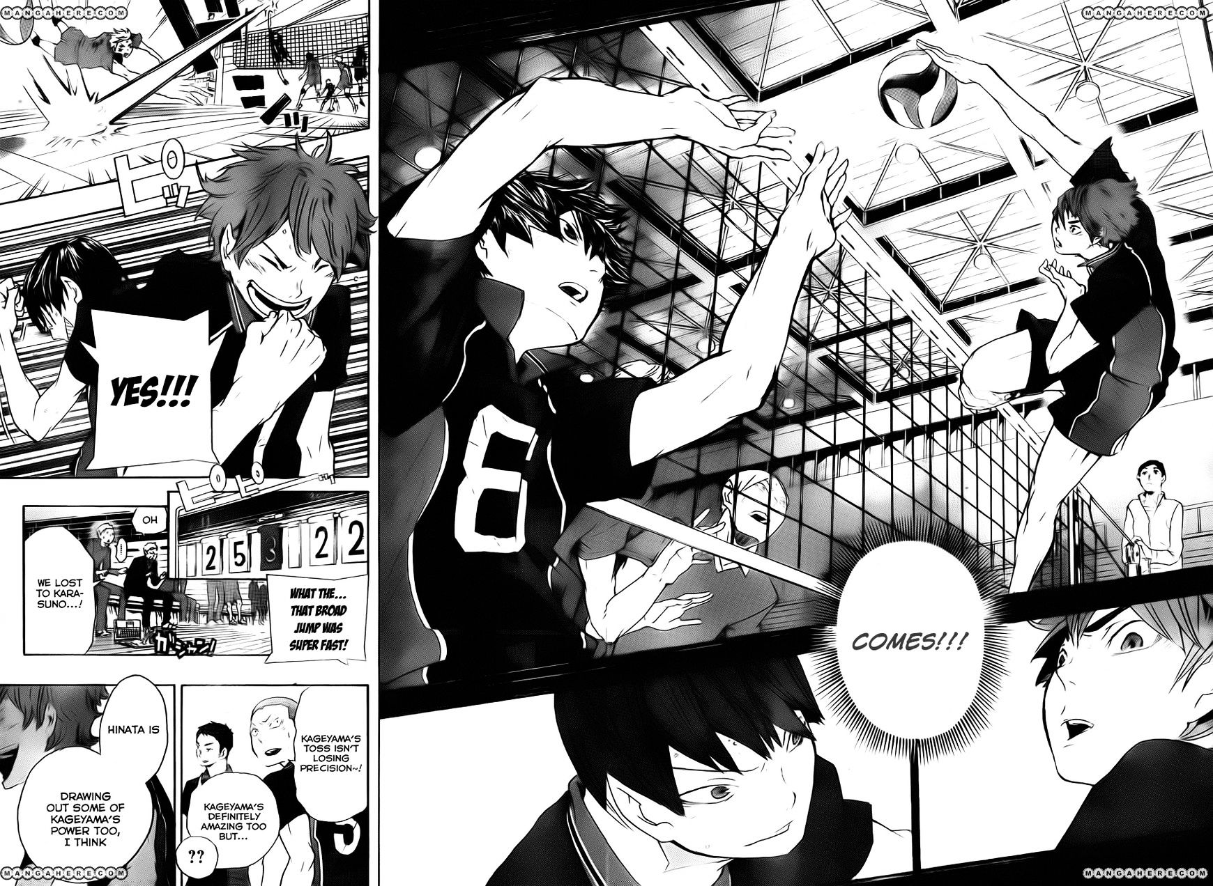 Read Haikyuu!! EN Manga Online