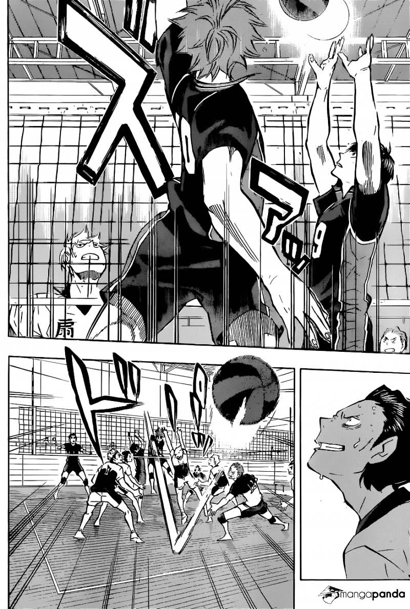 Read Haikyuu!! EN Manga Online
