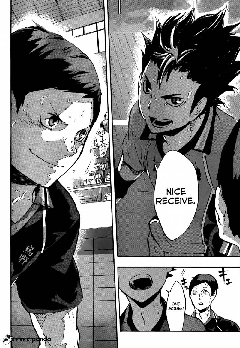 Read Haikyuu!! EN Manga Online