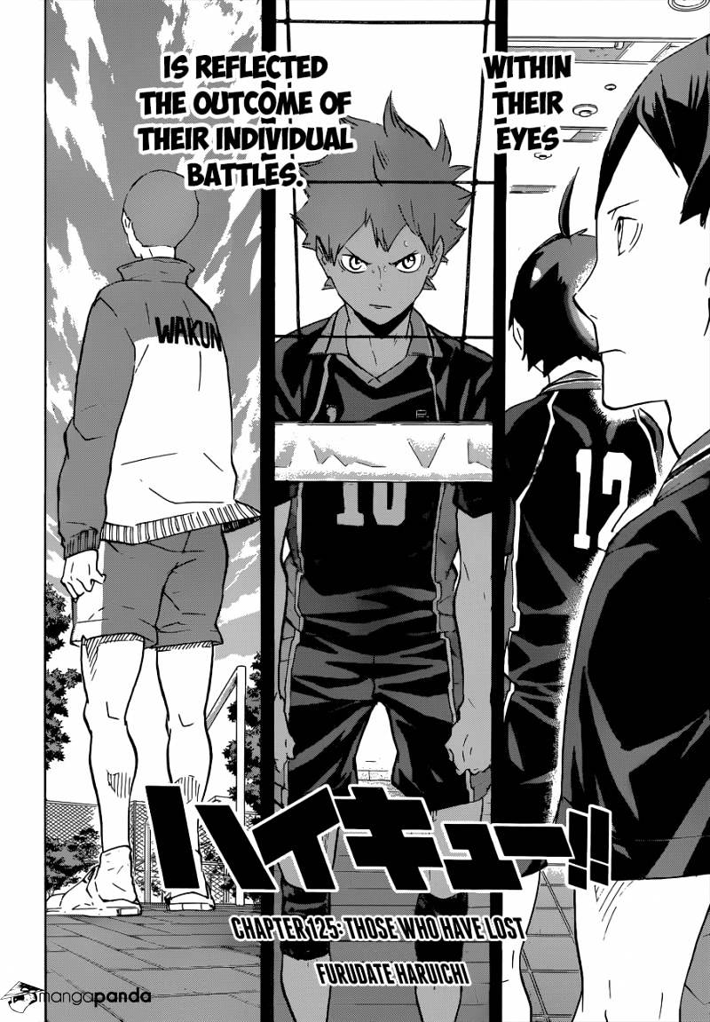 Read Haikyuu!! EN Manga Online