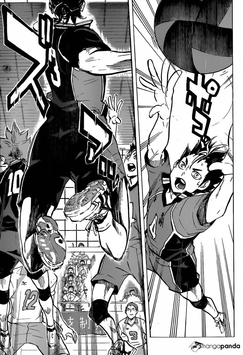Read Haikyuu!! EN Manga Online