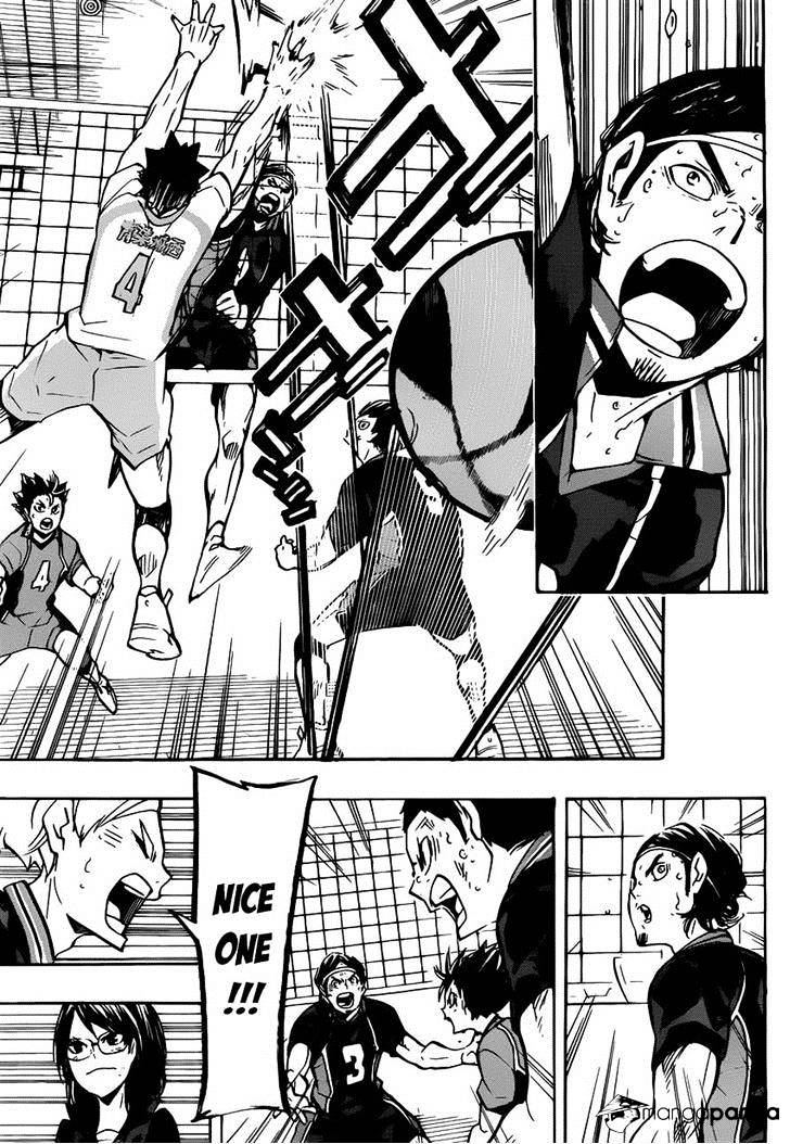Read Haikyuu!! EN Manga Online