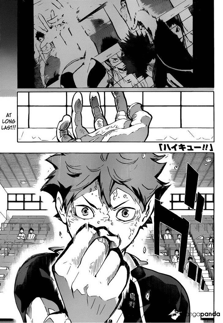 Read Haikyuu!! EN Manga Online