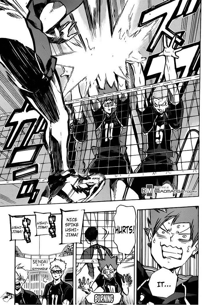 Read Haikyuu!! EN Manga Online
