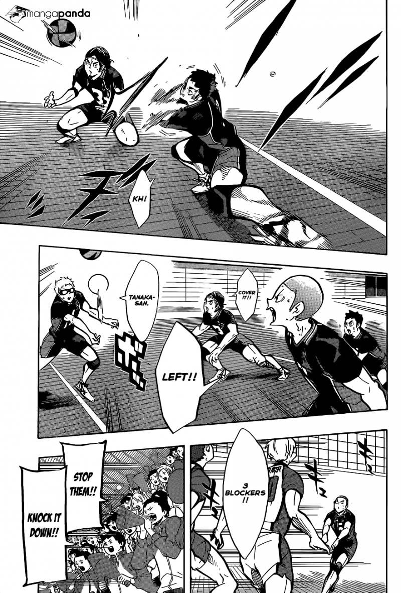 Read Haikyuu!! EN Manga Online