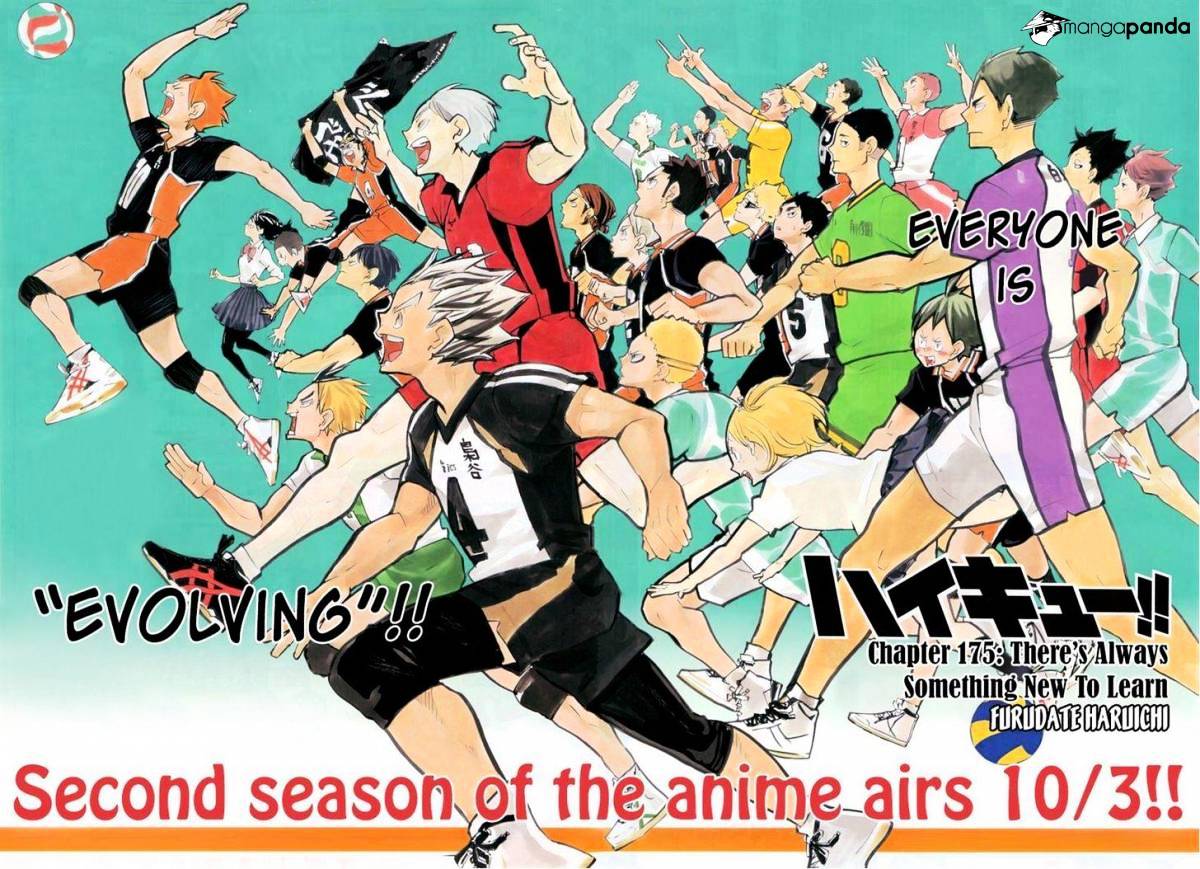 Read Haikyuu!! EN Manga Online